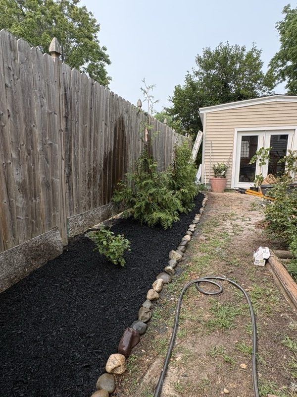 Landscape design planting install