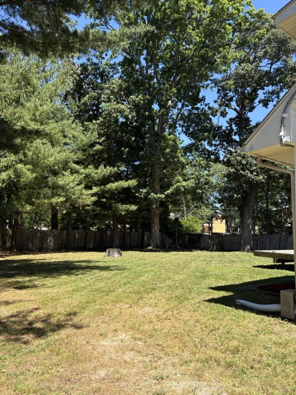 Healthy green lawn maintained by Avila Outdoors