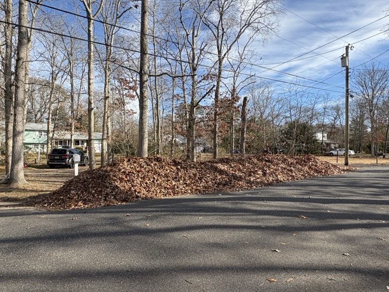 Fall leaf cleanup pile from a seasonal cleanup job