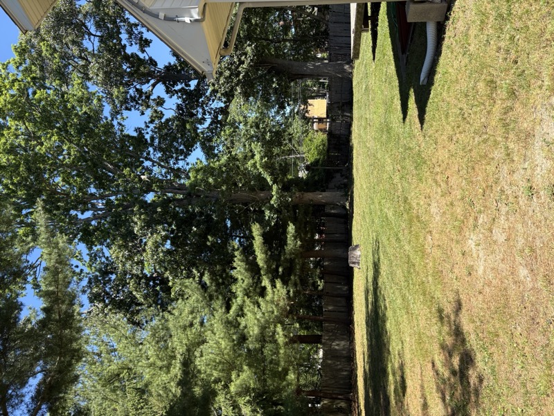 Lawn Maintenance