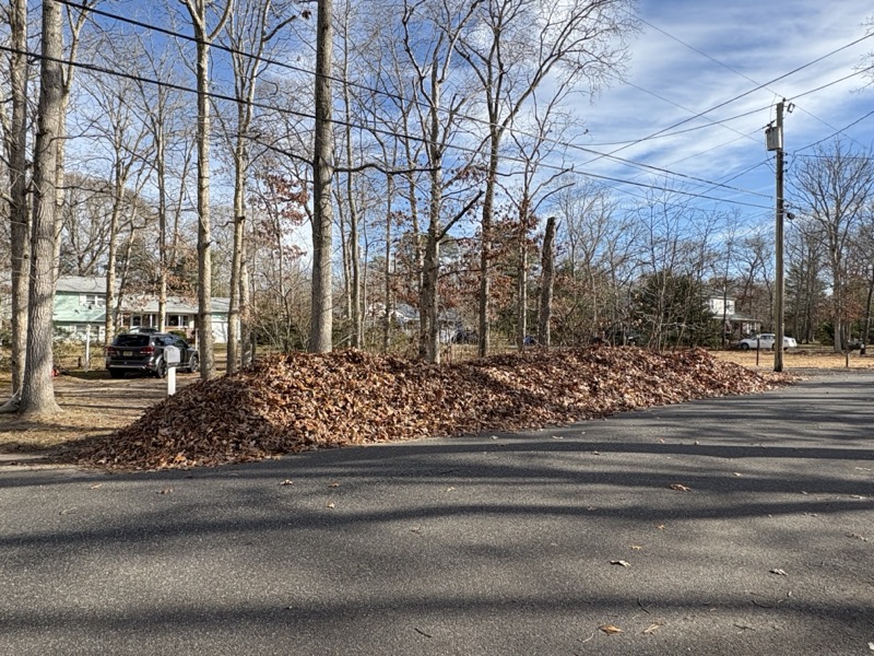 Seasonal Cleanups