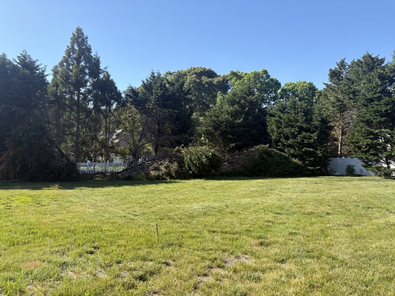 Tree & Shrub Care